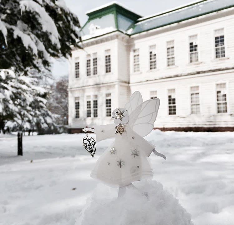 Hvid fe med hjerte, mellem