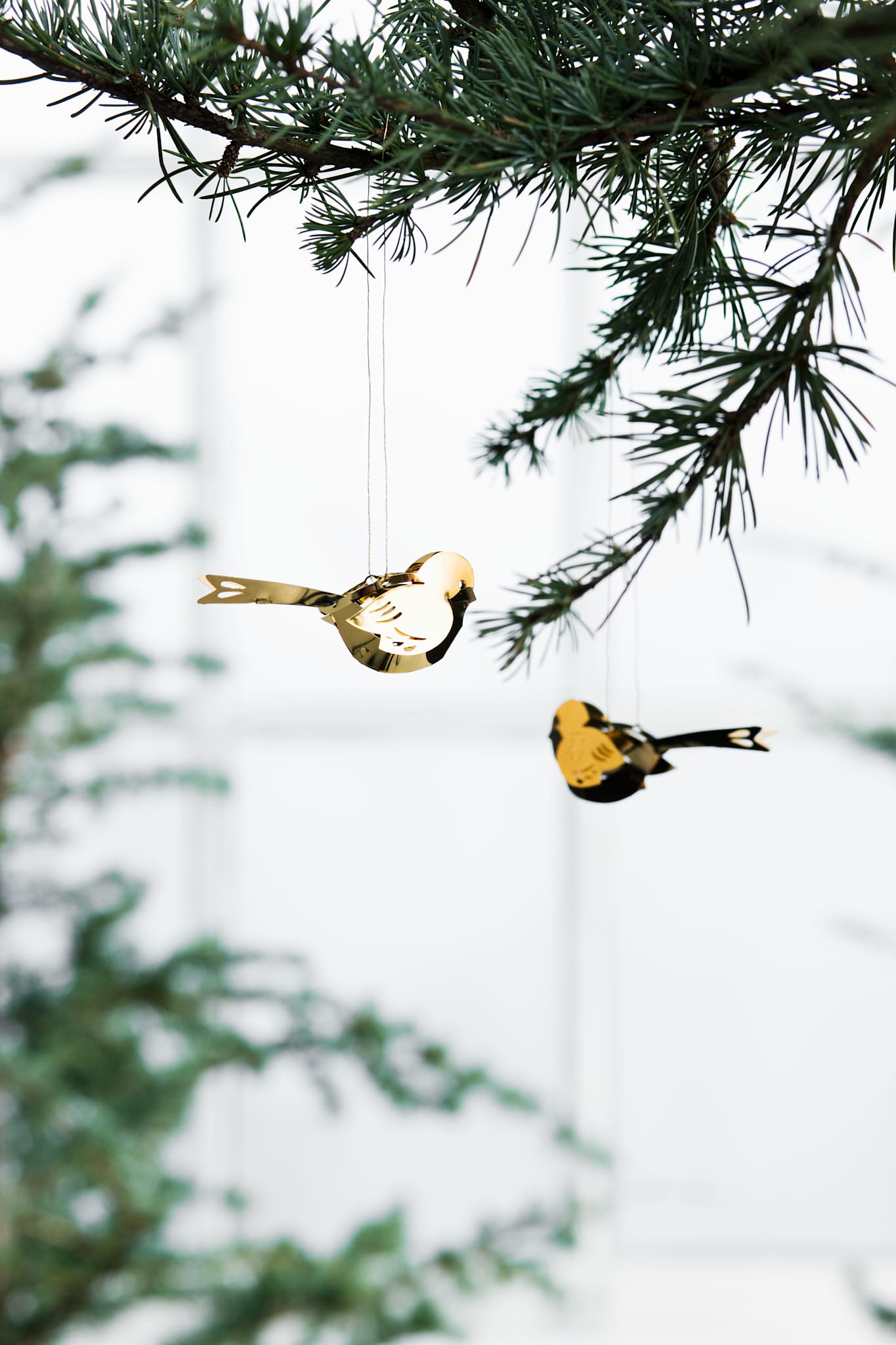 Miniature Bird, Gold