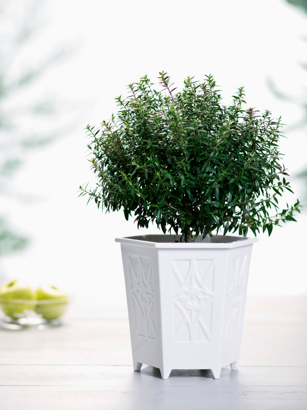 Flower Vase with Relief – Large