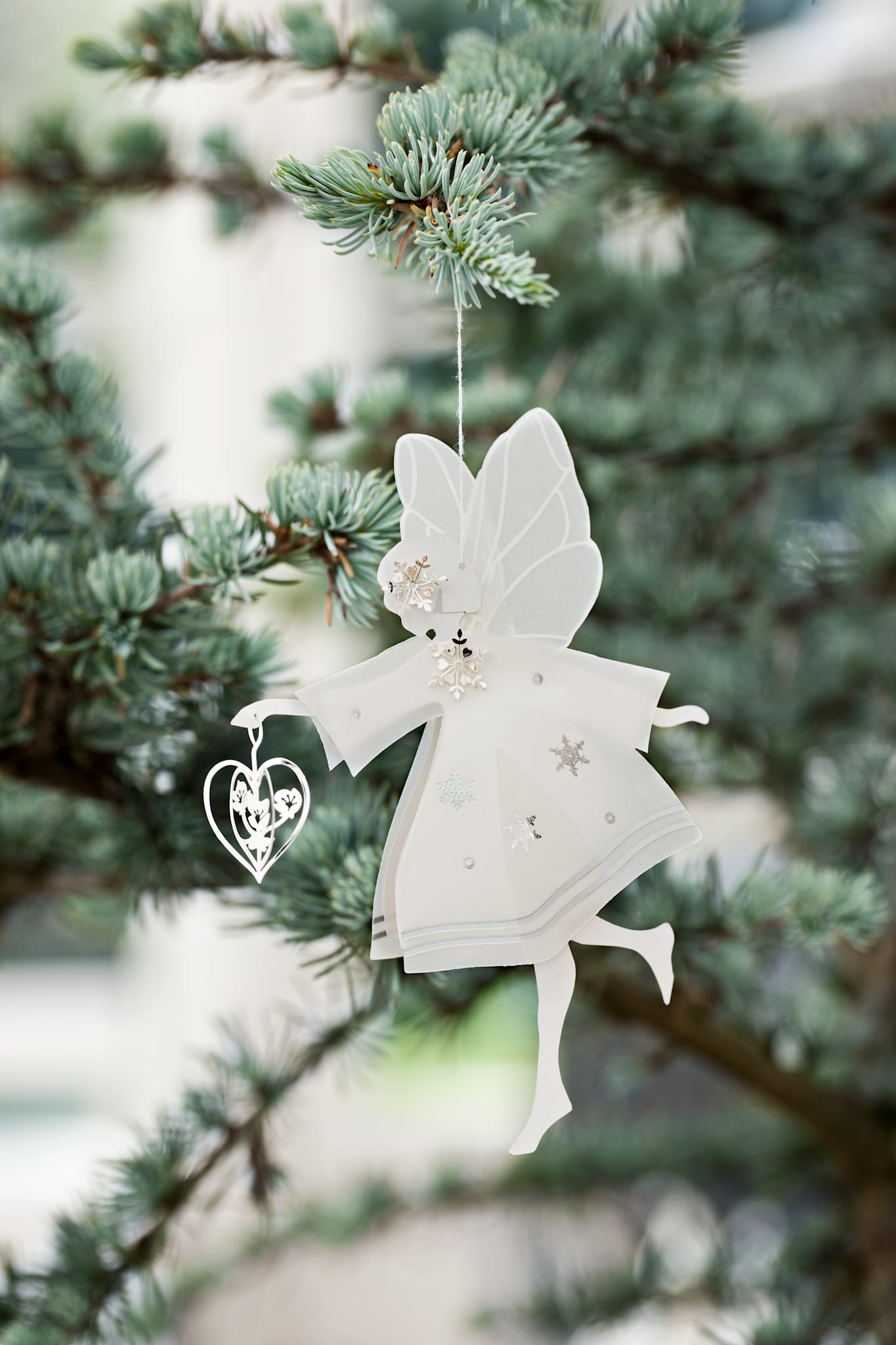 Hvid fe med hjerte, mellem