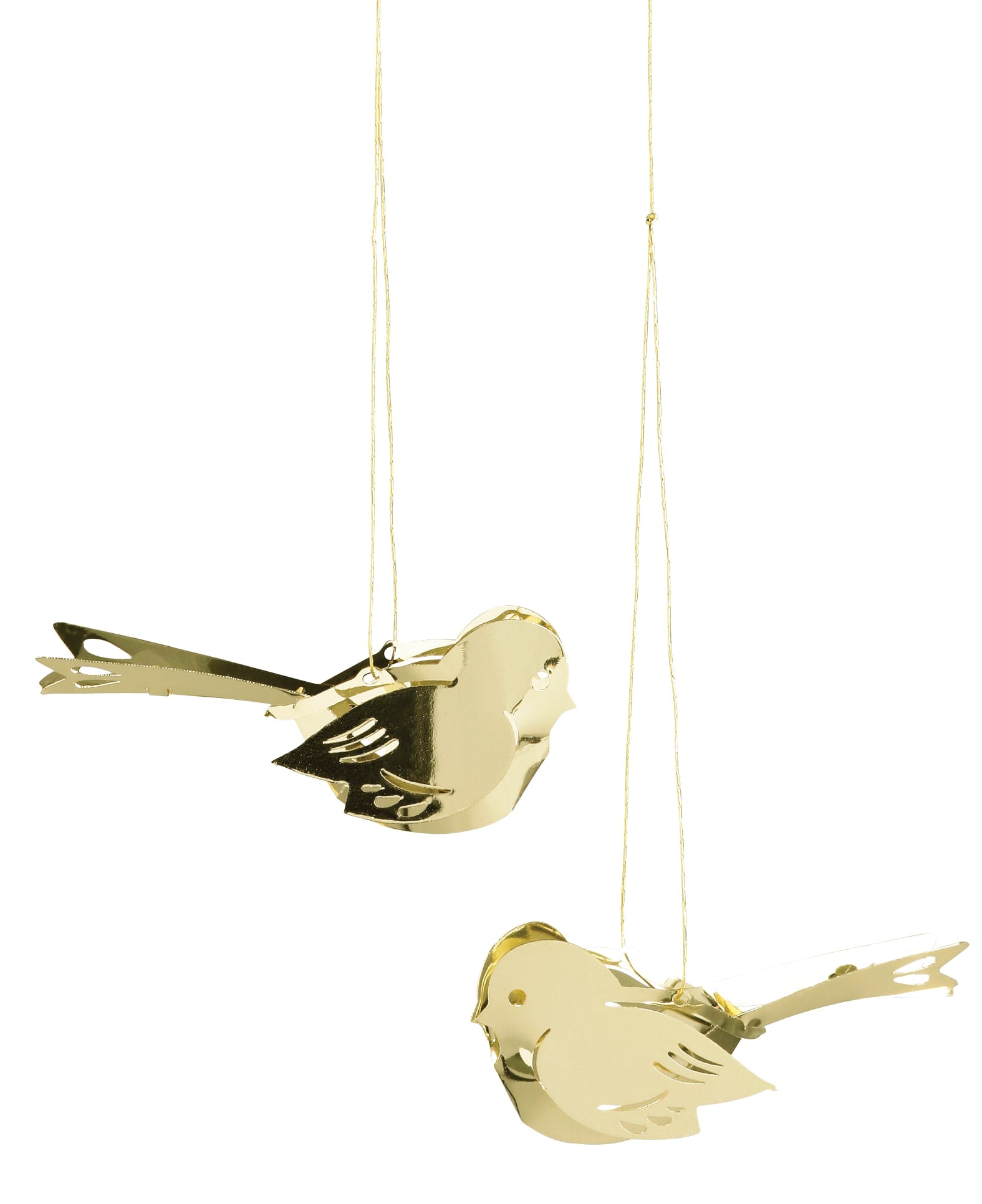 Miniaturvogel, Gold