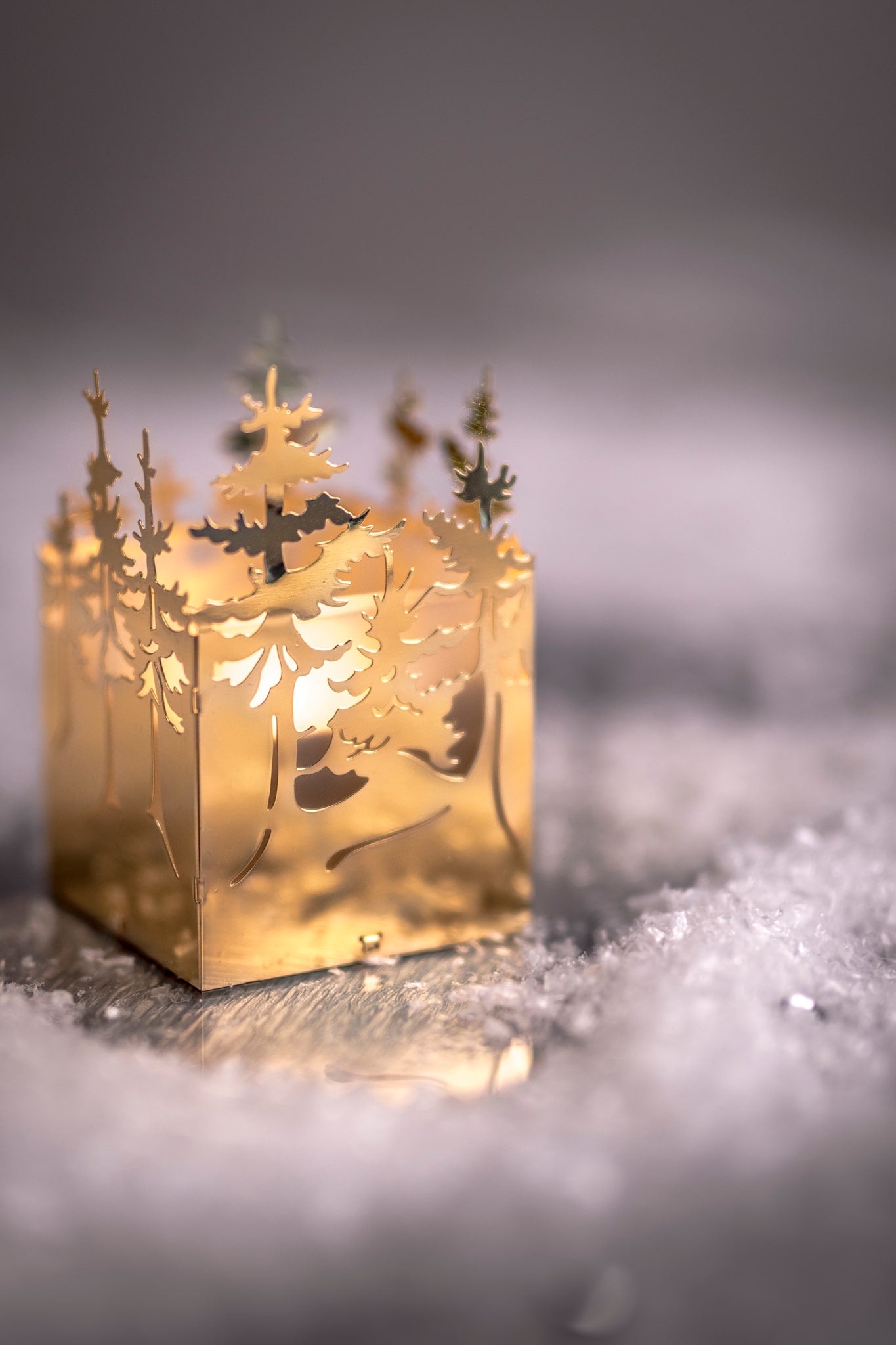 Winter Forest, Lantern in Gold