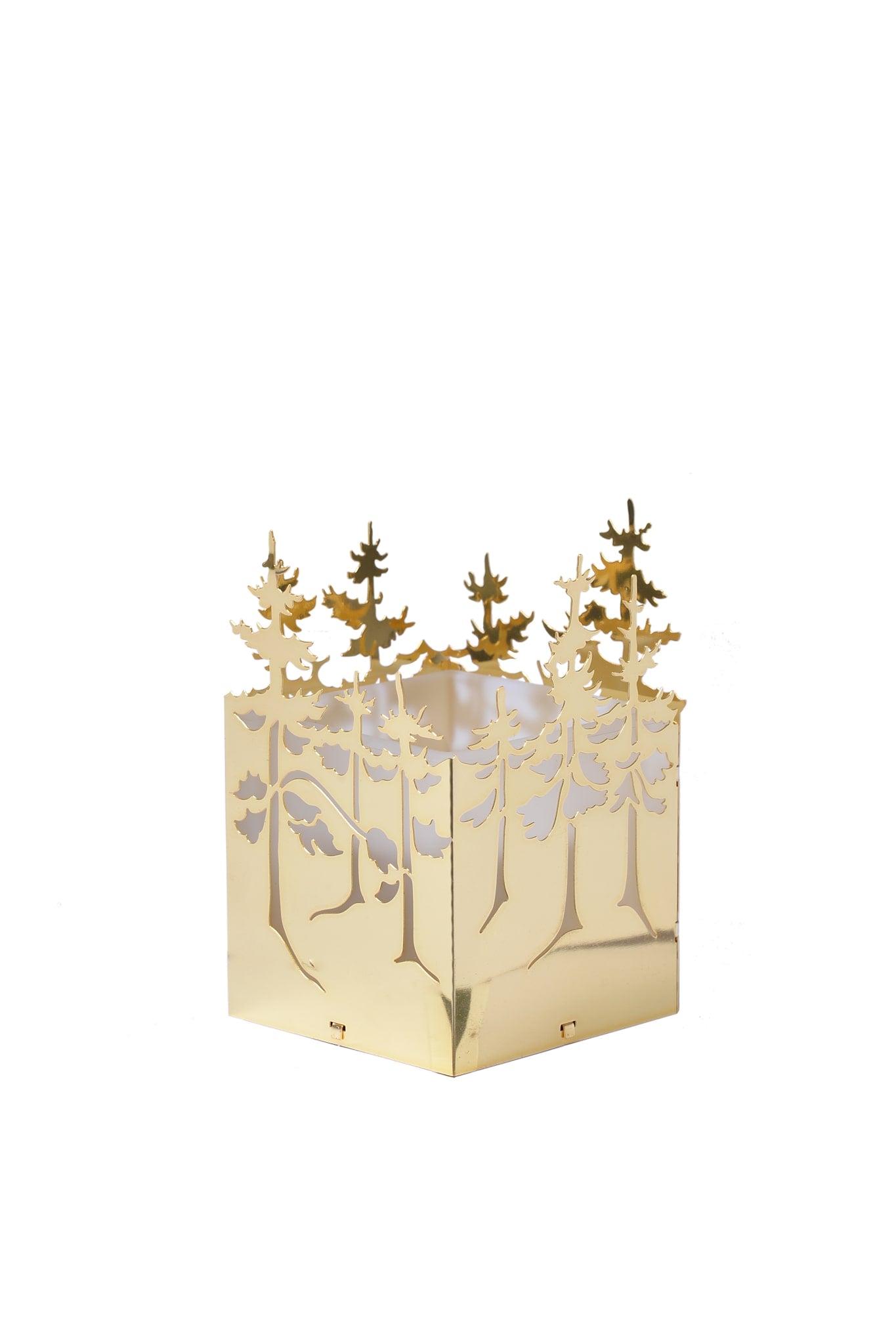 Winter Forest, Lantern in Gold