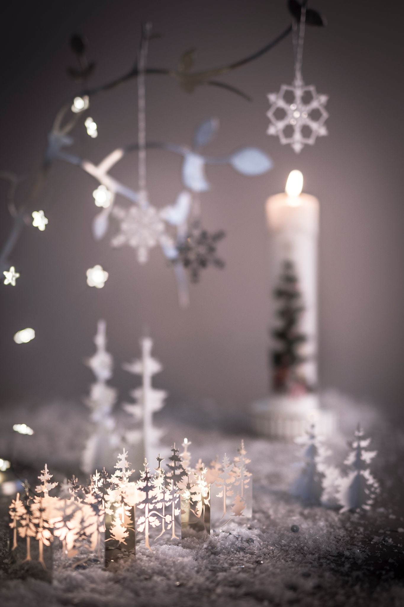 Vinterskov, Lyslygte i Sølv